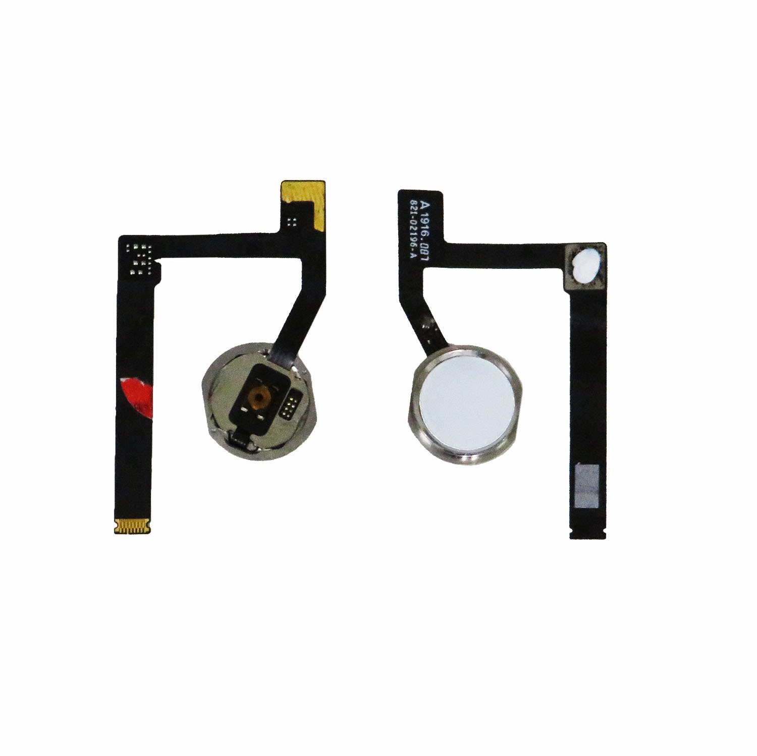 Home Button With Flex for Ipad Mini 5- White