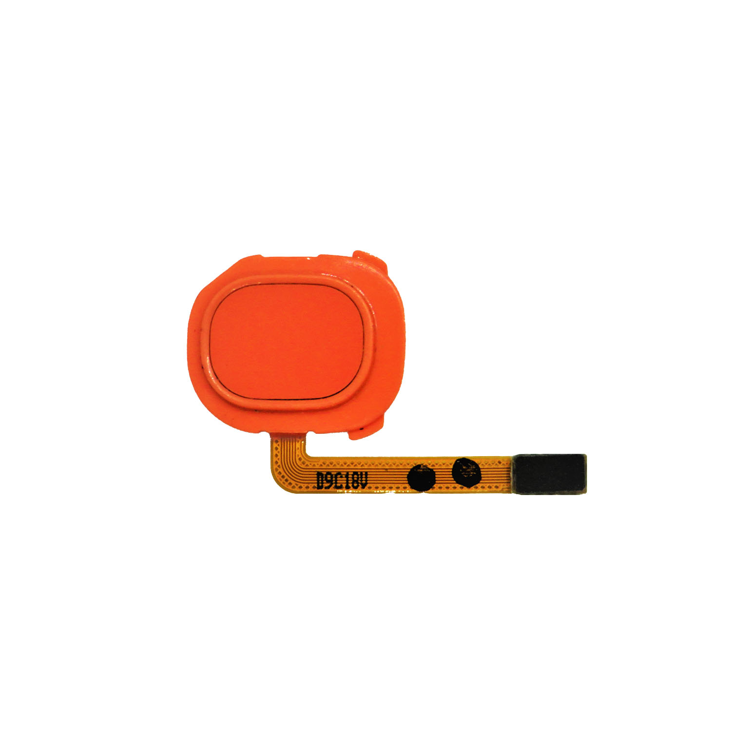 Fingerprint Reader with Flex Cable for Galaxy A20E (A202 2019)-Coral