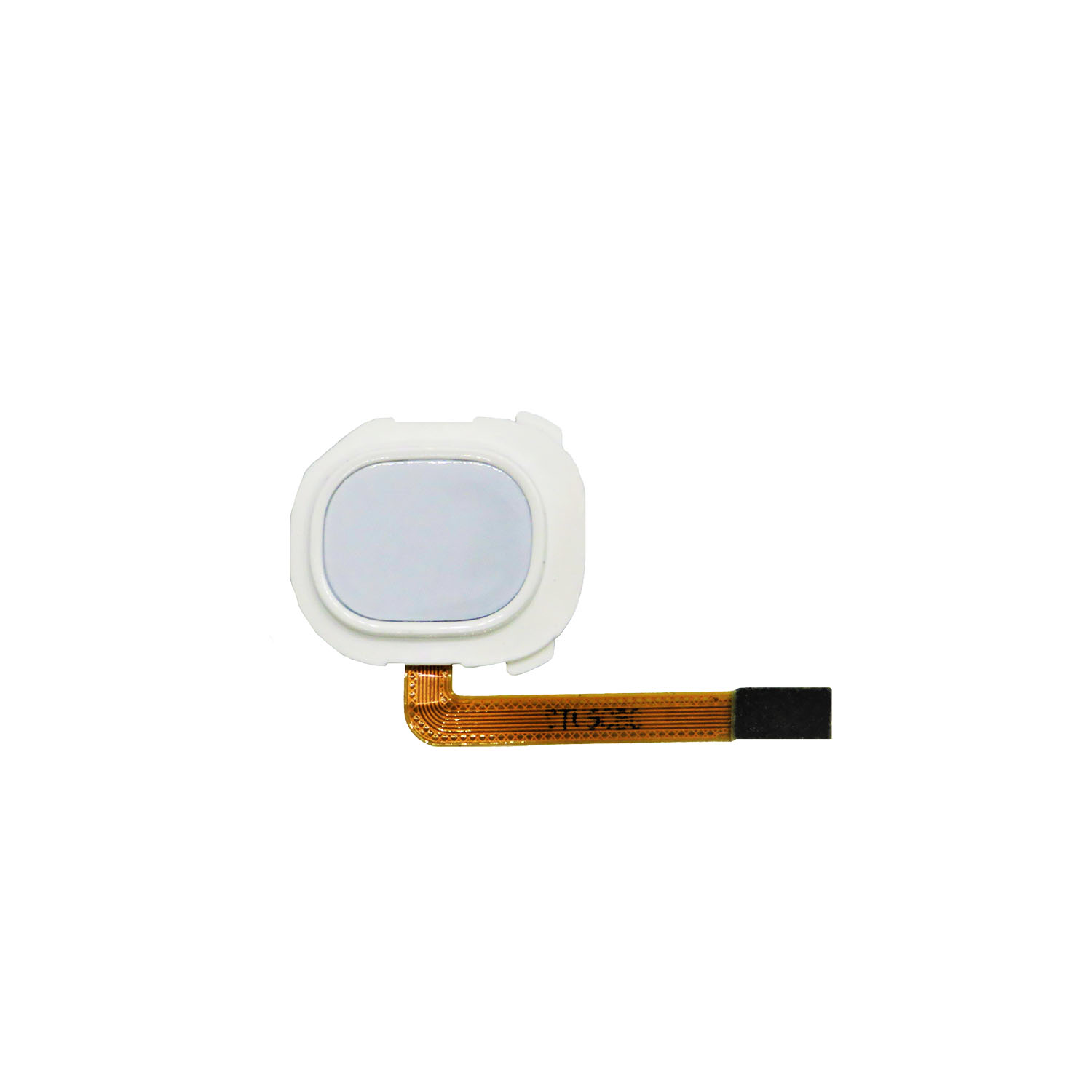 Fingerprint Reader with Flex Cable for Galaxy A20E (A202 2019)-White