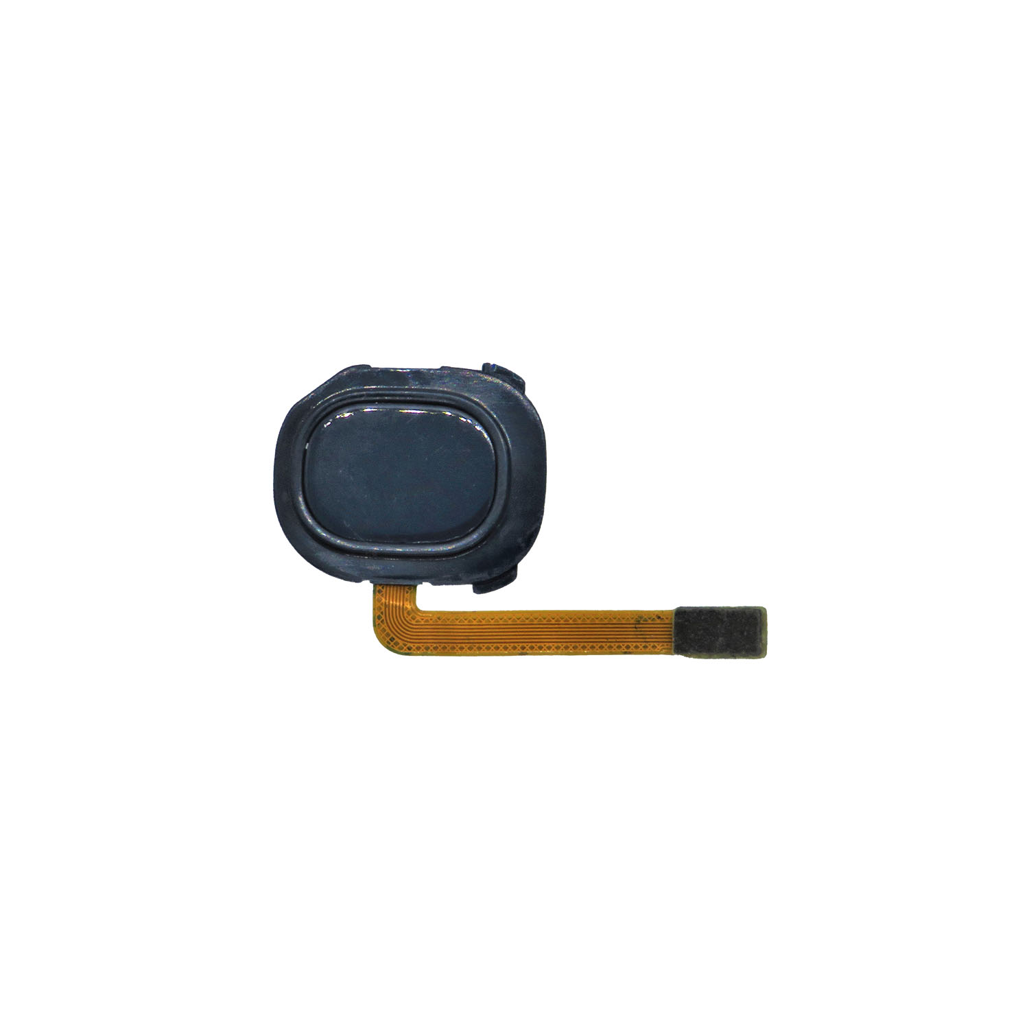 Fingerprint Reader with Flex Cable for Galaxy A20 (A205 2019)-Blue