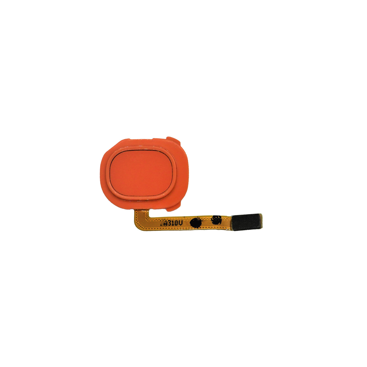 Fingerprint Reader with Flex Cable for Galaxy A20 (A205 2019)-Coral