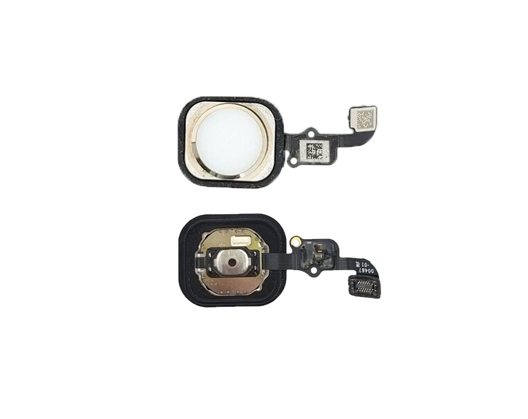 Home Button With Flex for iPhone 6, iPhone 6 Plus- White