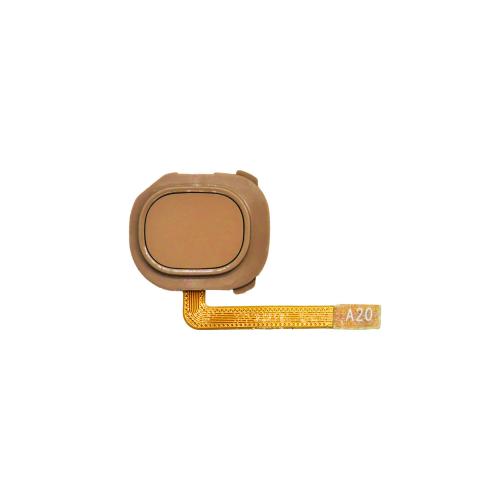 Fingerprint Reader with Flex Cable for Galaxy A20E (A202 2019)-Gold