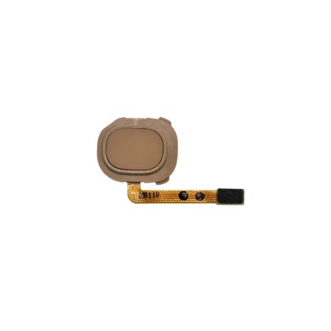 Fingerprint Reader With Flex Cable for Galaxy A20 (A205 2019)-Gold