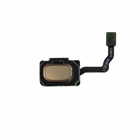 Fingerprint Reader with Flex Cable for Samsung Galaxy S9, S9 Plus - Gold