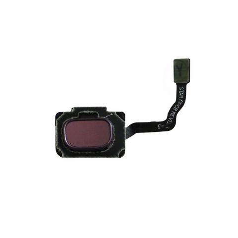 Fingerprint Reader with Flex Cable for Samsung Galaxy S9, S9 Plus - Purple