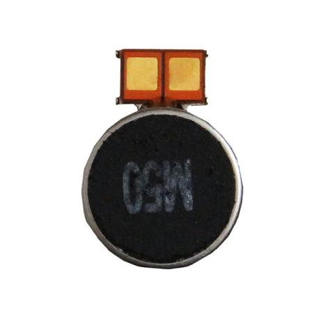 Vibrator for Samsung Galaxy S8 Plus