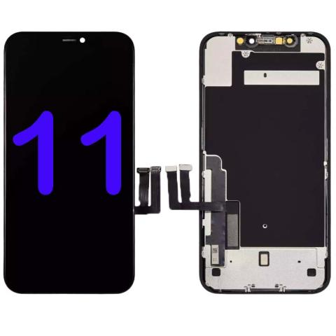 11-AM