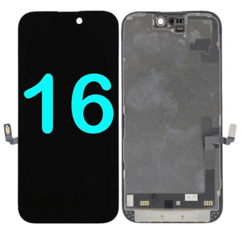 16